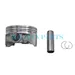 Senci 225cc PISTON